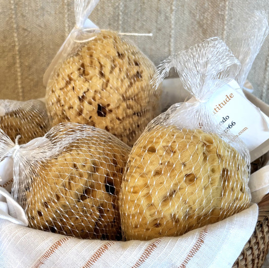 Mediterranean Wool Sponge